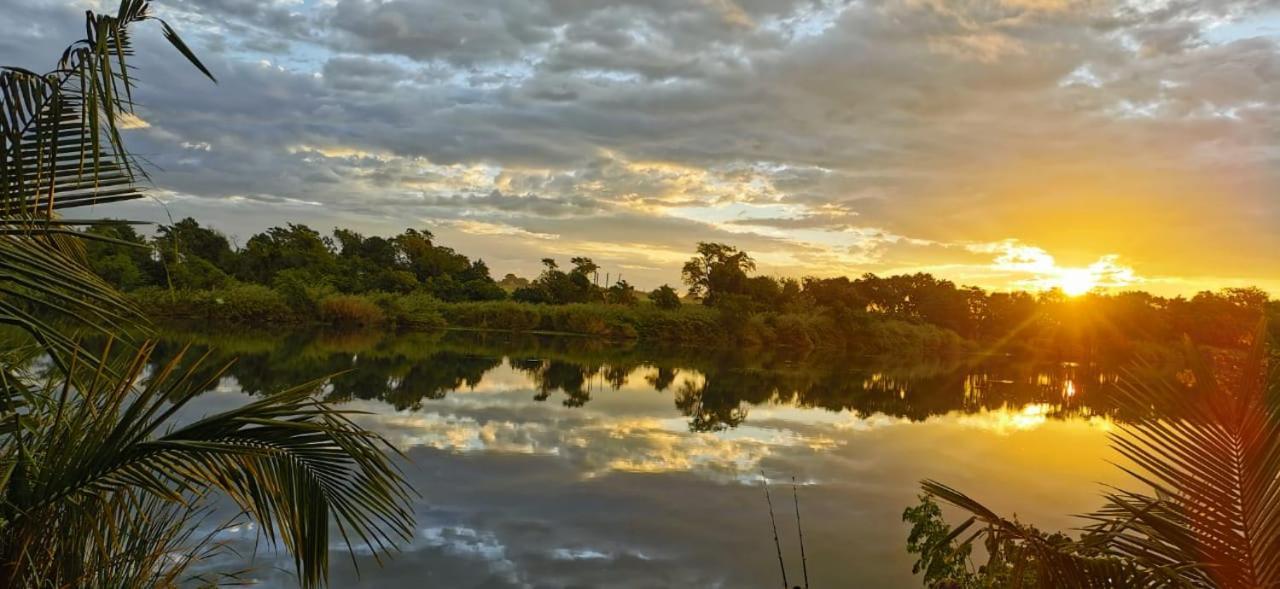Hippo Retreat & Tiger Fishing Komatipoort Extérieur photo