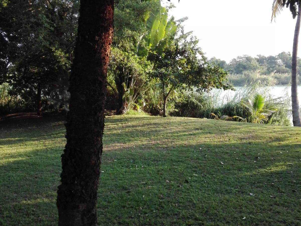 Hippo Retreat & Tiger Fishing Komatipoort Extérieur photo